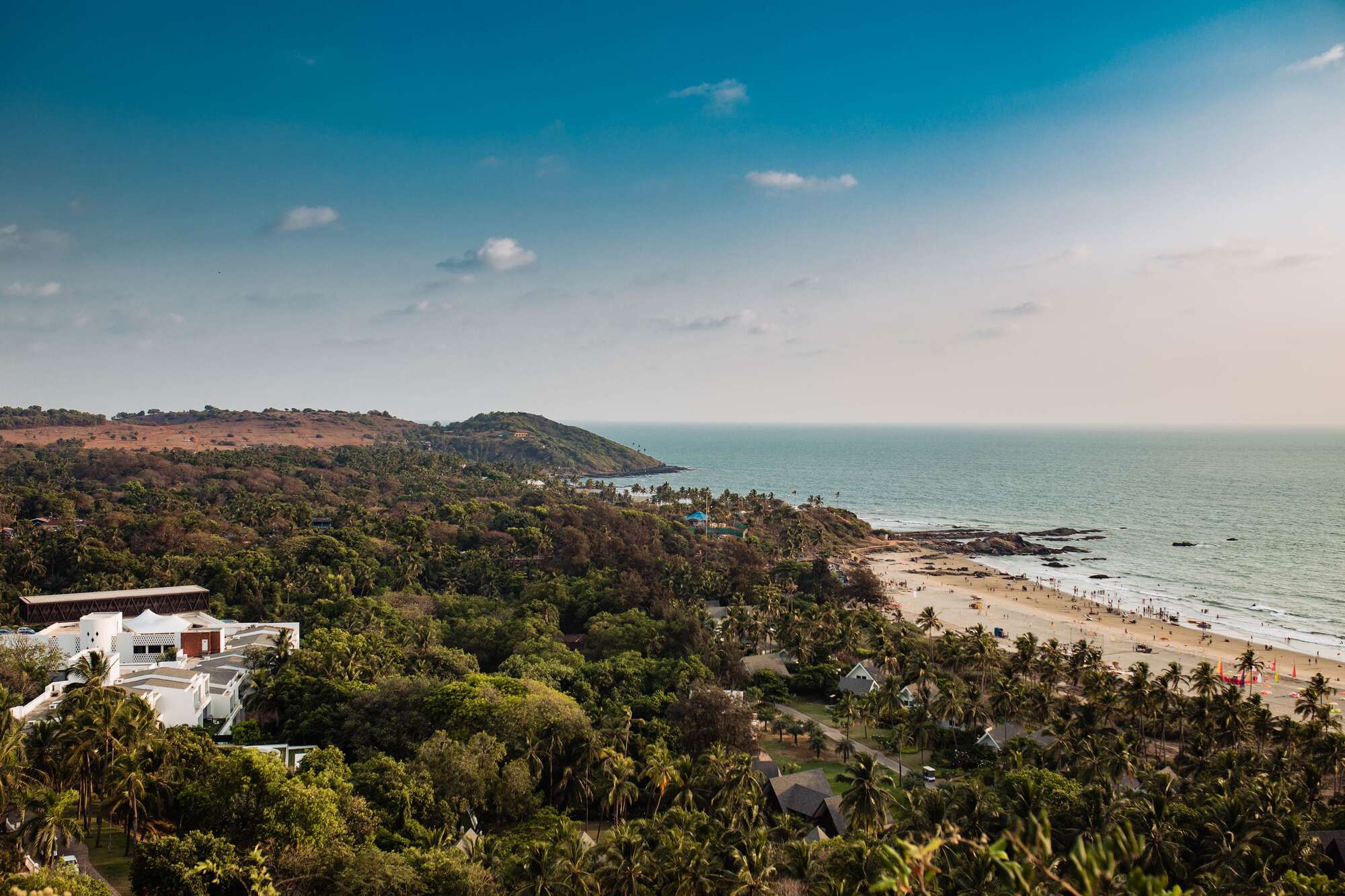 Aerial view of the coastline and palm canopy at Mandrem, North Goa