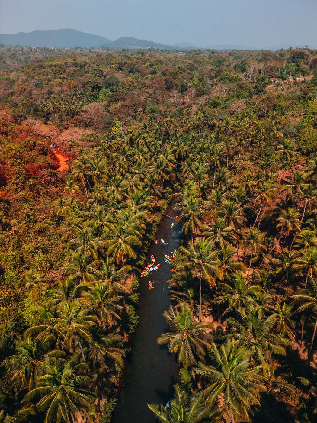 Aerial view of palm forest and a river inland in Goa